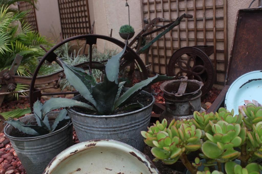Aber Jetz Guesthouse Pongola Exteriör bild